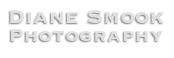 Diane Smook Photography: Nature, Dance, Documentary