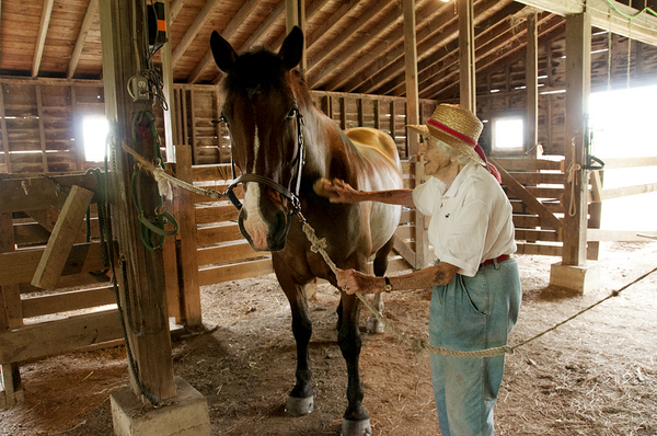 Grooming Goliath : Faity Tuttle: An Inspiration at 100 : Diane Smook Photography: Nature, Dance, Documentary