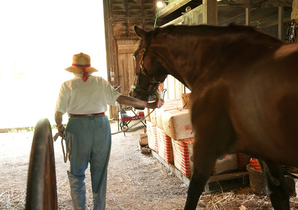 Leading Goliath : Faity Tuttle: An Inspiration at 100 : Diane Smook Photography: Nature, Dance, Documentary