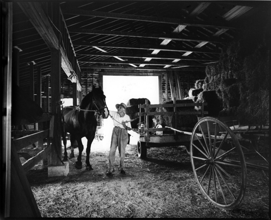 Grooming Goliath : Faity Tuttle: An Inspiration at 100 : Diane Smook Photography: Nature, Dance, Documentary