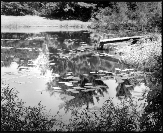 The Dock in the Pond : Faity Tuttle: An Inspiration at 100 : Diane Smook Photography: Nature, Dance, Documentary