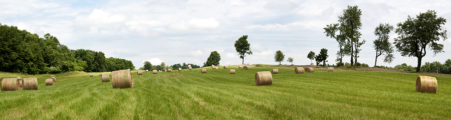 County Route 22 : Rural Impressions : Diane Smook Photography: Nature, Dance, Documentary