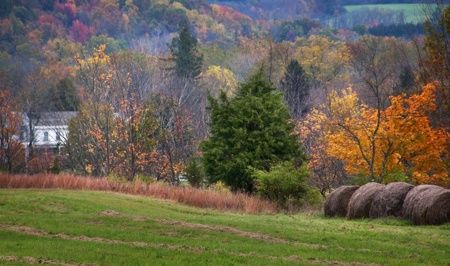 White House; McCagg Road : Rural Impressions : Diane Smook Photography: Nature, Dance, Documentary