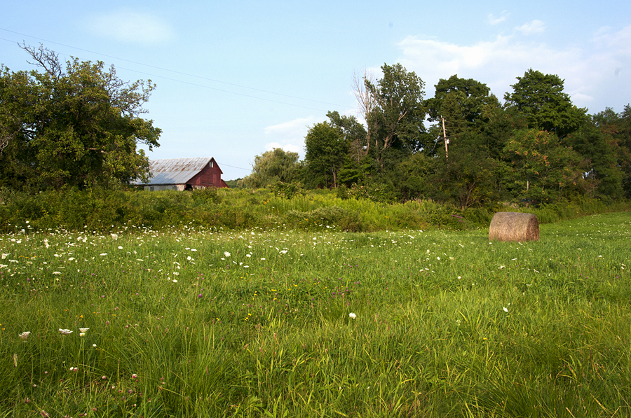Red Barn; County Route 7 : Rural Impressions : Diane Smook Photography: Nature, Dance, Documentary