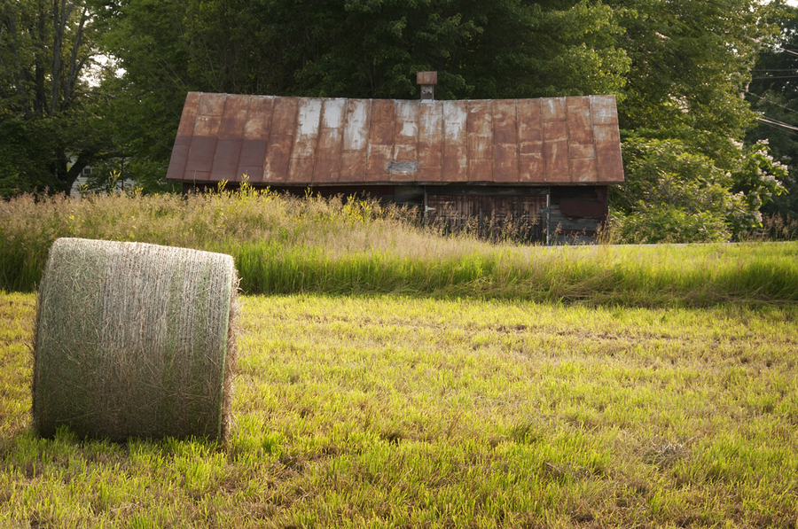 Brown Barn; County Route 22 : Rural Impressions : Diane Smook Photography: Nature, Dance, Documentary