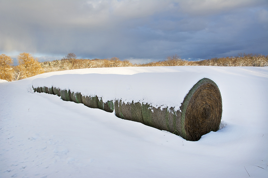 Snow-Covered Bales; County Route 22 : Rural Impressions : Diane Smook Photography: Nature, Dance, Documentary