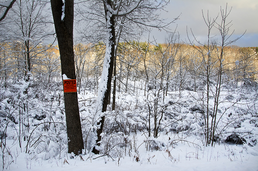 Posted Trees in Snow; County Route 22 : Rural Impressions : Diane Smook Photography: Nature, Dance, Documentary