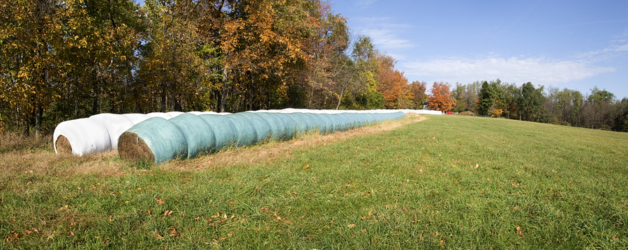 Panorama, Leggett Road : Rural Impressions : Diane Smook Photography: Nature, Dance, Documentary
