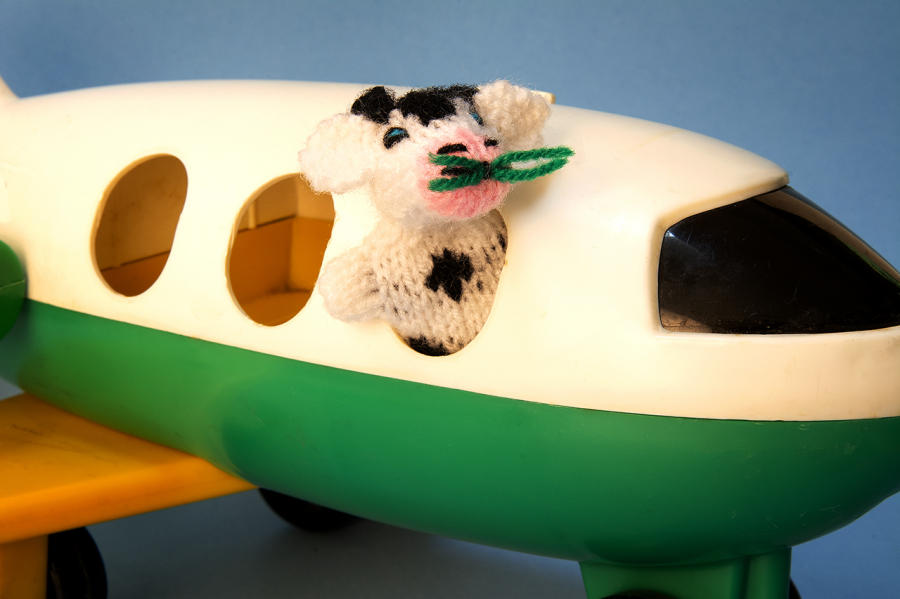  : Peruvian Puppets : Diane Smook Photography: Nature, Dance, Documentary