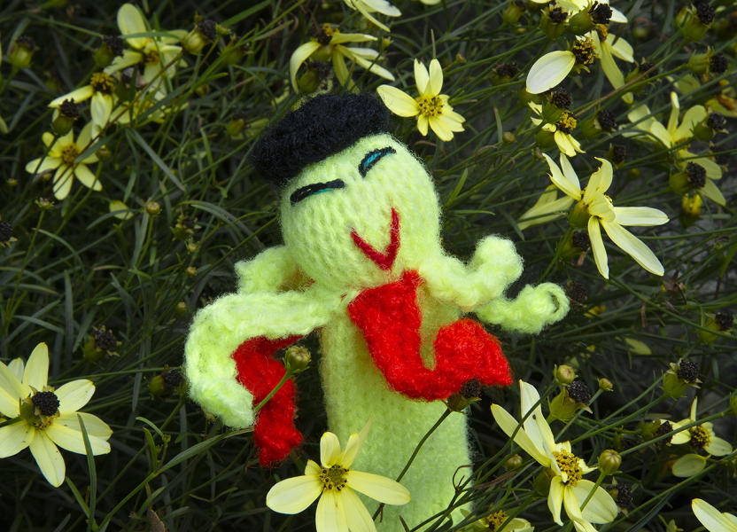  : Peruvian Puppets : Diane Smook Photography: Nature, Dance, Documentary