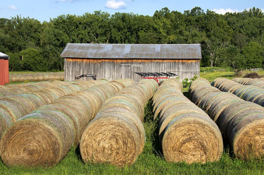 Hay Rake & Bales; County Route 21B : Rural Impressions : Diane Smook Photography: Nature, Dance, Documentary