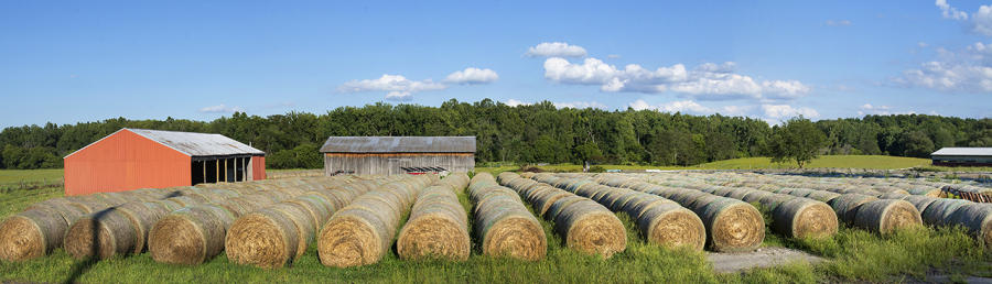 Bales; County Route 21B : Rural Impressions : Diane Smook Photography: Nature, Dance, Documentary