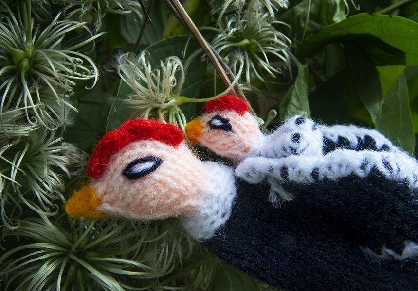  : Peruvian Puppets : Diane Smook Photography: Nature, Dance, Documentary