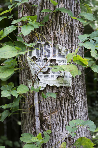  : Installation: Posted : Diane Smook Photography: Nature, Dance, Documentary