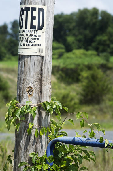  : Installation: Posted : Diane Smook Photography: Nature, Dance, Documentary