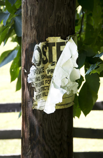  : Installation: Posted : Diane Smook Photography: Nature, Dance, Documentary