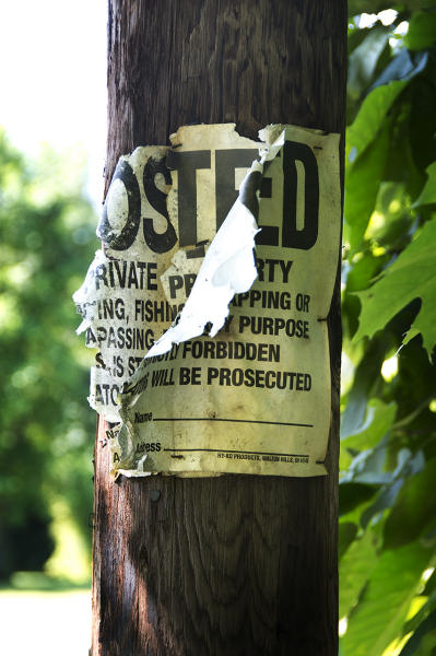  : Installation: Posted : Diane Smook Photography: Nature, Dance, Documentary