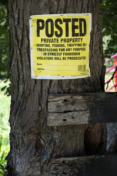 : Installation: Posted : Diane Smook Photography: Nature, Dance, Documentary
