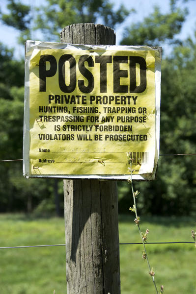  : Installation: Posted : Diane Smook Photography: Nature, Dance, Documentary