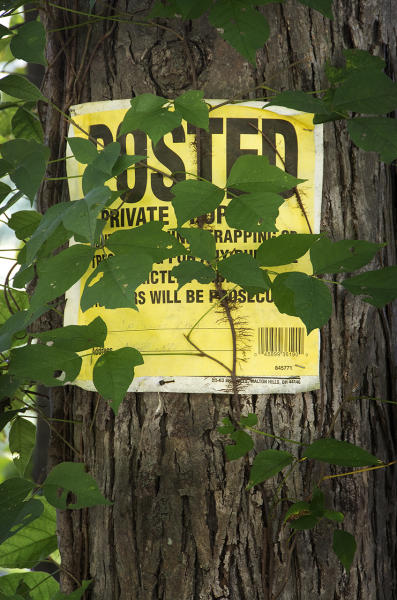  : Installation: Posted : Diane Smook Photography: Nature, Dance, Documentary