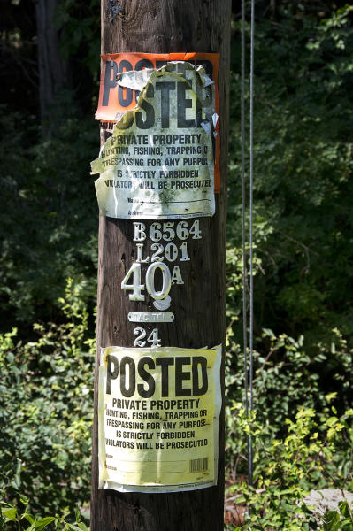  : Installation: Posted : Diane Smook Photography: Nature, Dance, Documentary