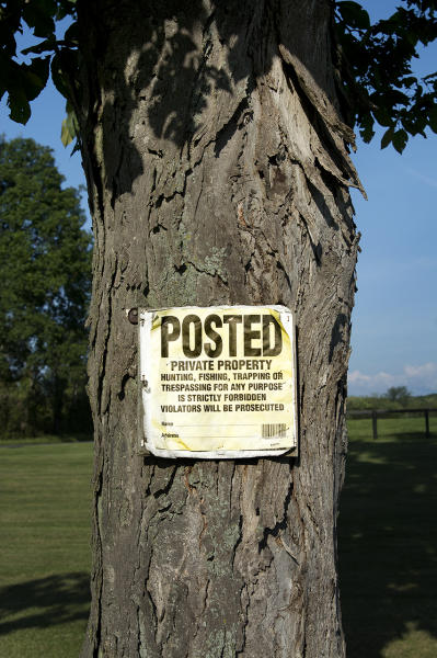  : Installation: Posted : Diane Smook Photography: Nature, Dance, Documentary