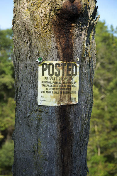  : Installation: Posted : Diane Smook Photography: Nature, Dance, Documentary