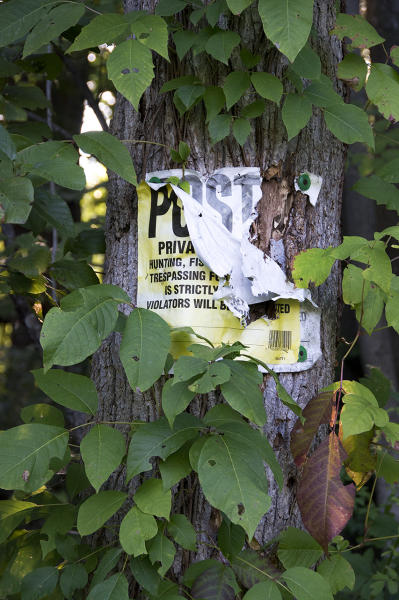  : Installation: Posted : Diane Smook Photography: Nature, Dance, Documentary