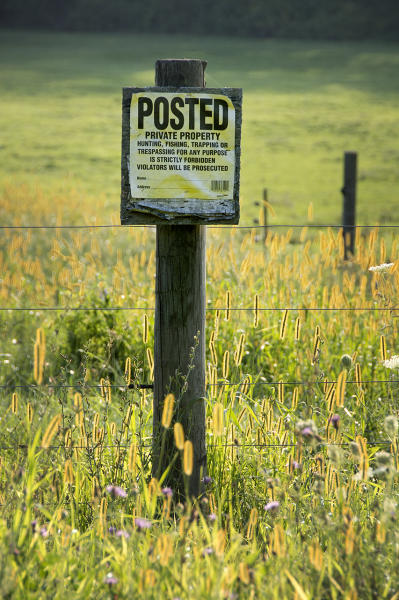  : Installation: Posted : Diane Smook Photography: Nature, Dance, Documentary