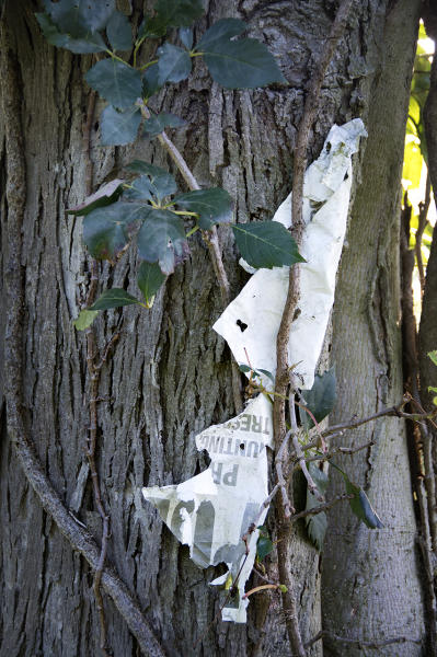  : Installation: Posted : Diane Smook Photography: Nature, Dance, Documentary
