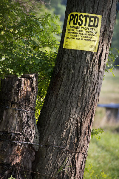  : Installation: Posted : Diane Smook Photography: Nature, Dance, Documentary