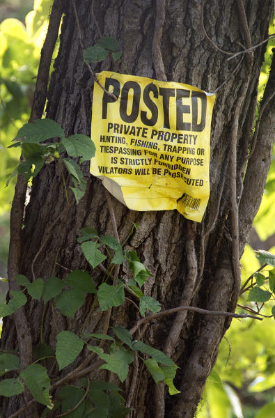  : Installation: Posted : Diane Smook Photography: Nature, Dance, Documentary