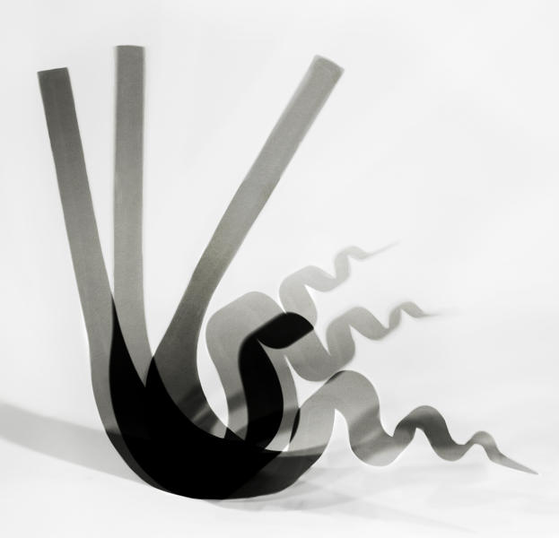Cobra in Motion : Currimbhoy Sculpture : Diane Smook Photography: Nature, Dance, Documentary