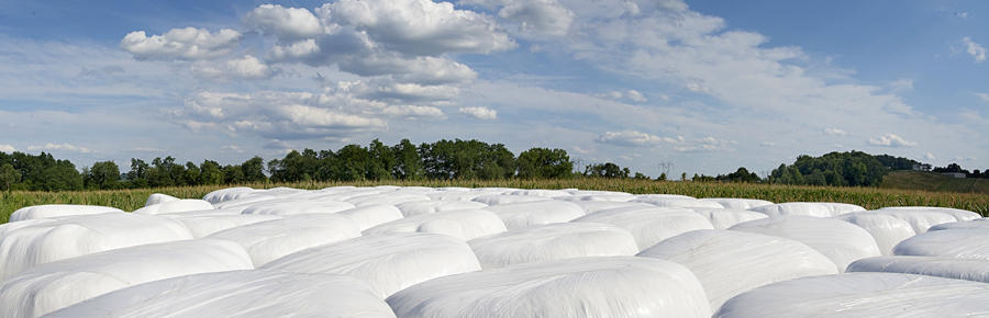 Route 9, Livingston 2 : Rural Impressions : Diane Smook Photography: Nature, Dance, Documentary