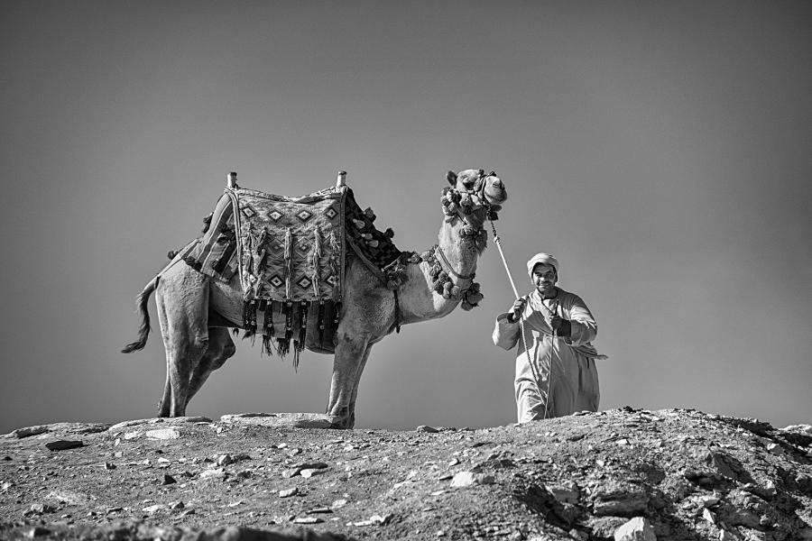 Camel Driver, Giza, Cairo : Infrared Egypt : Diane Smook Photography: Nature, Dance, Documentary