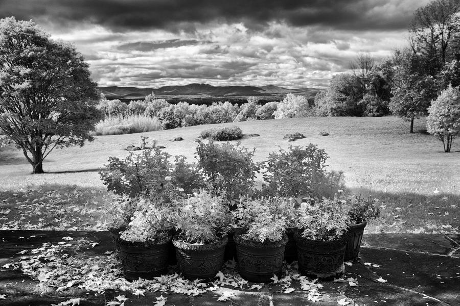 Autumn : Rural Infrared : Diane Smook Photography: Nature, Dance, Documentary