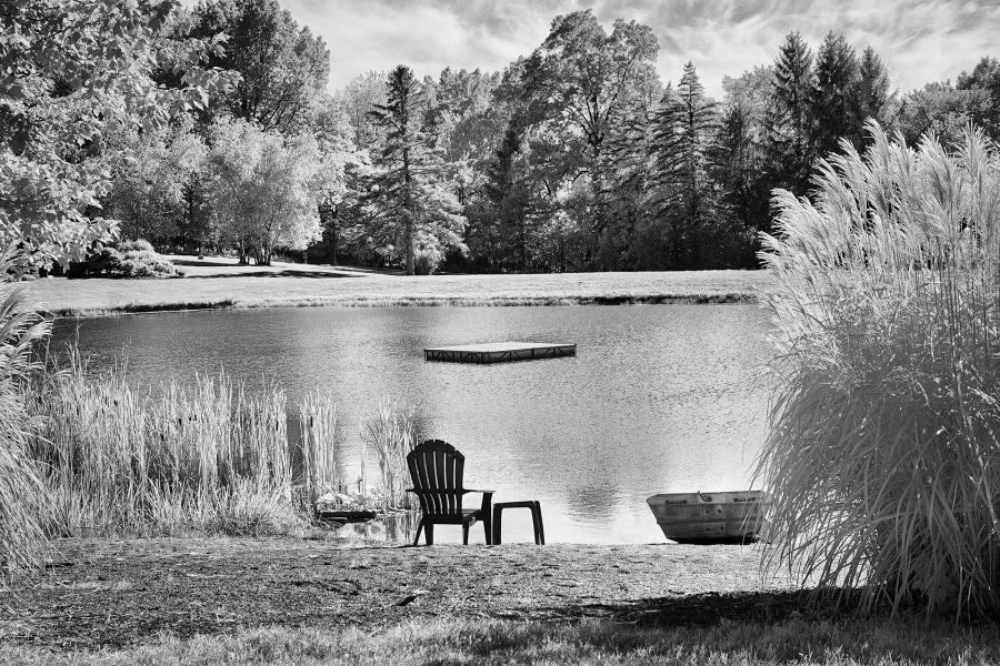 Summer : Rural Infrared : Diane Smook Photography: Nature, Dance, Documentary