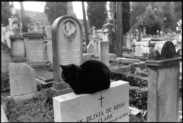  : Rome and a Villa : Diane Smook Photography: Nature, Dance, Documentary