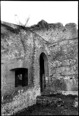 Hadrian's Villa, Tree : Rome and a Villa : Diane Smook Photography: Nature, Dance, Documentary